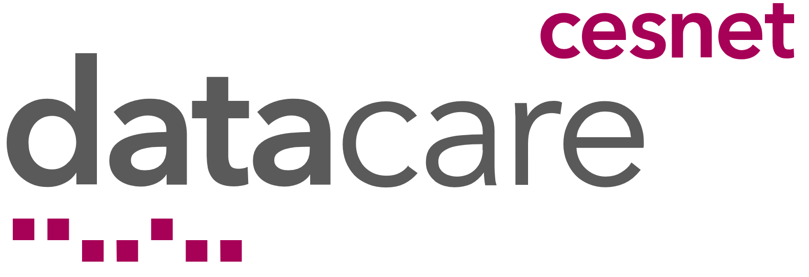 ducesnet-logo.png